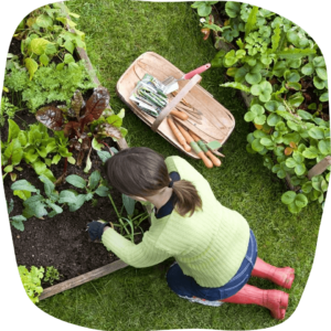 What is a vegan garden
