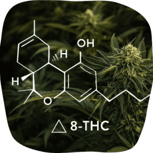 Cannabis Oil Shop