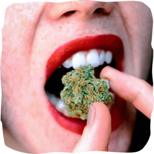 Cannabis Medical Shop