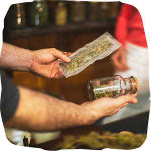 CANNABIS STORE