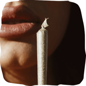 best organic cannabis pre rolls 