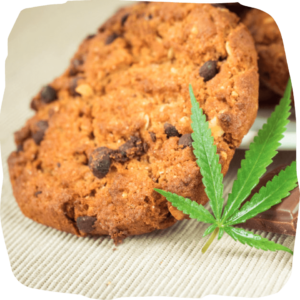cannabis edible