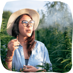 cannabis pre-roll benefits