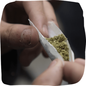 Cannabis pre-rolls