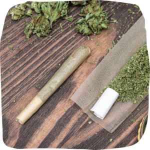 cannabis pre-rolls pack