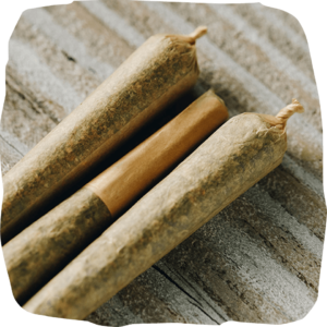 premium organic cannabis pre rolls