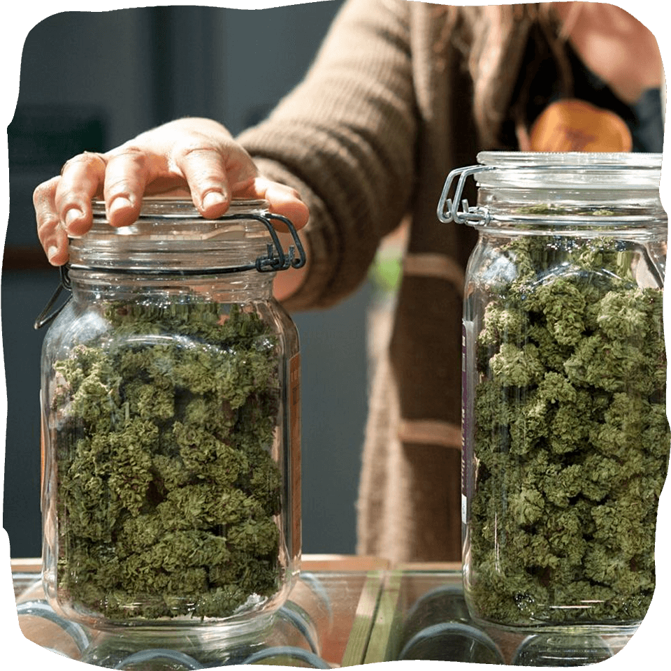 buy weed in Bangkok